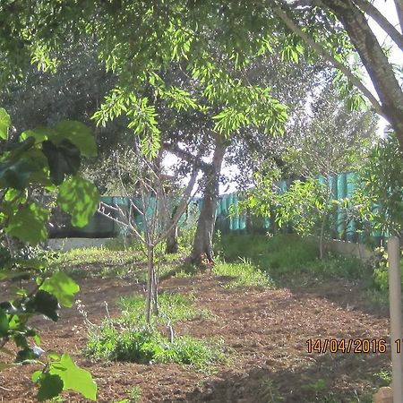 Quinta da Fonte em Moncarapacho Exterior foto